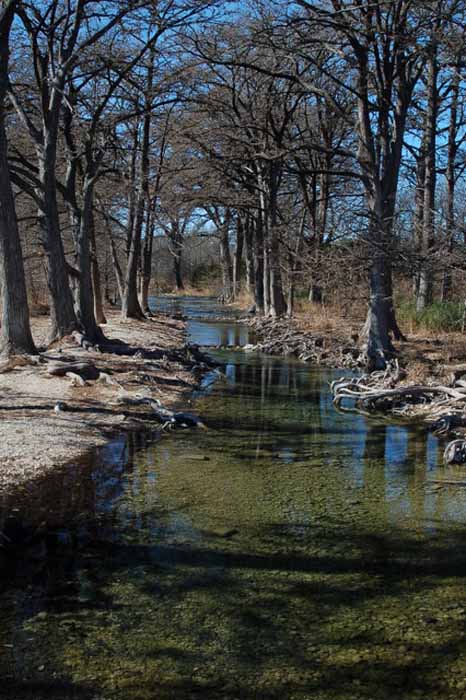 The Medina River